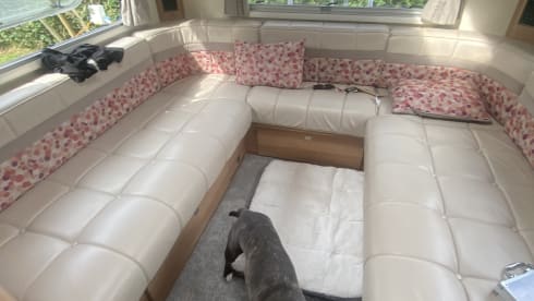 6 berth Peugeot semi-integrated from 2013