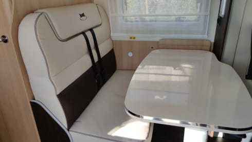 MC4 - 239 – MCLOUIS MC4 331