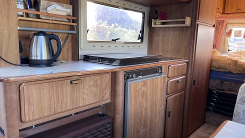 De bruine beer  – 5p Hymer integrated from 1992