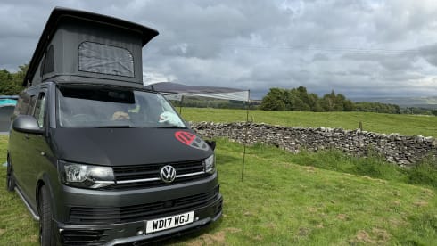 Camper van Dijk – 4 berth Volkswagen Transporter Pop Top Camper