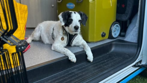 Victor – 4 berth Volkswagen campervan from 2017