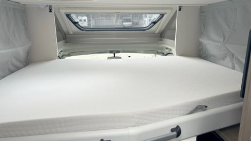 Horizontjäger – Carado T338 Pro+