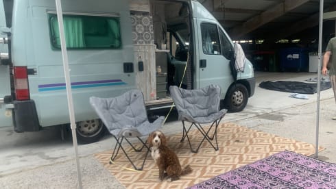 Billie – 2p Peugeot bus from 2000