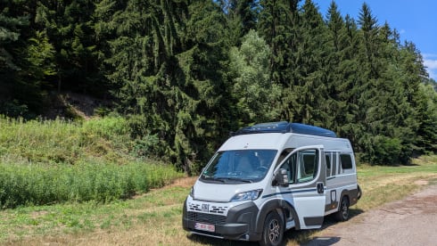 Bingo – 4p Carado bus from 2025