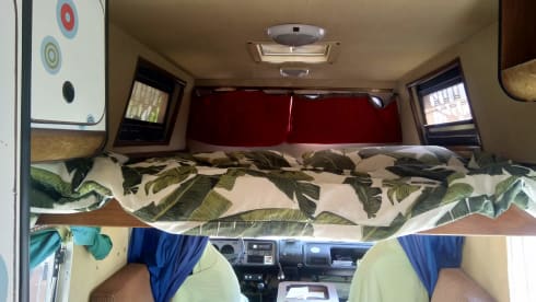 VanNino – A unique experience and a dive into the past? VanNino!