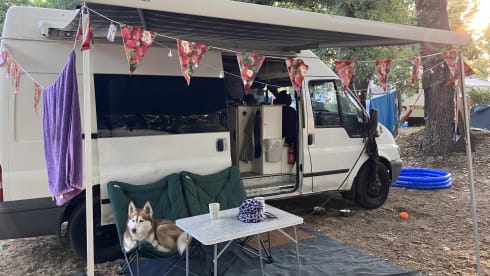 Frieda – Bus Ford 2p de 2007