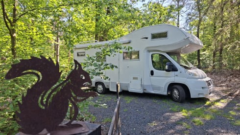 Mobilhome 06 – Nette Fiat alcove 
