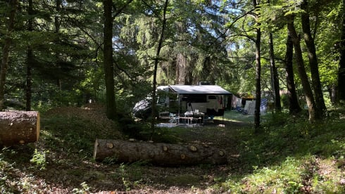 Luxury Family Campervan 