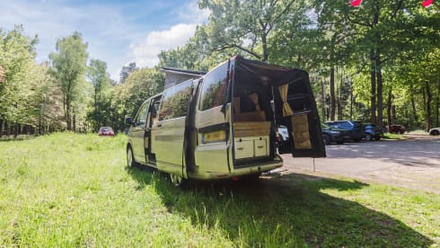 Alice The Van – Künstlerischer Dschungelcamper