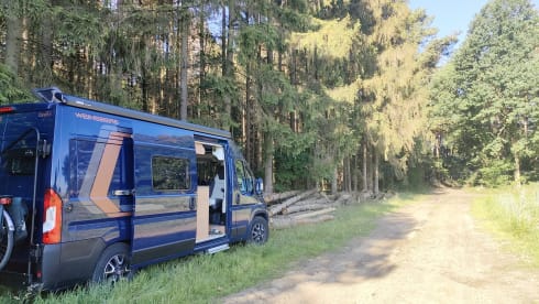 Candy – Candy baby - Luxury Fiat bus from 2021