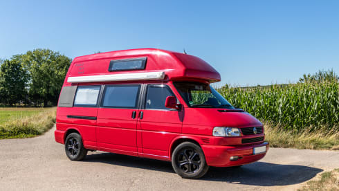 Bulli – VW T4 California Exclusive