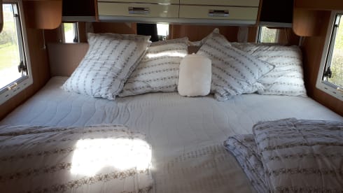 Vrijheid – Luxe Laika Ecovip 309.