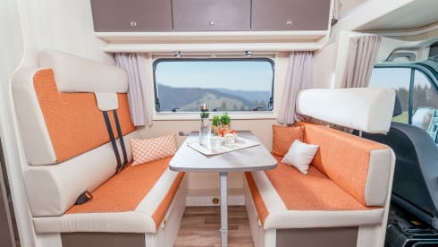 Familiecamper –  Renault alcove for 4-6 persons