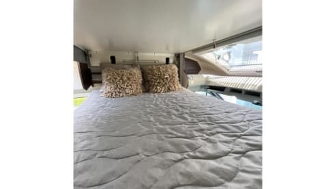 Bennie – Benimar Tessoro 442 Half integraal 2018, 4p