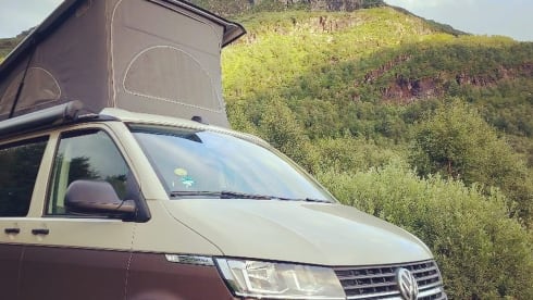 CALI Brown Grey – Volkswagen California COAST Brown/AscotGrey (2021)