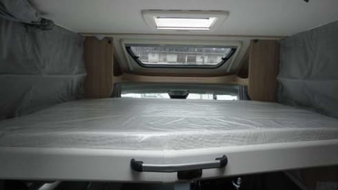 T67/24 – Brand new Sunlight T67/24