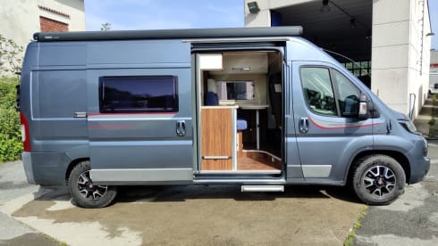 Living Stone 2 – LAIKA Ecovip 300