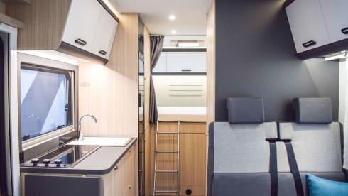 Sunny Ente – Sunny Ente is looking forward to loving, clean tenants