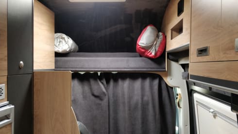 Campervan Globe-Traveller Pathfinder X