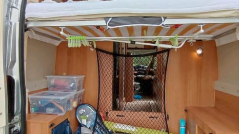 Dreamer – Dreamer Rapido Family Van Select 250