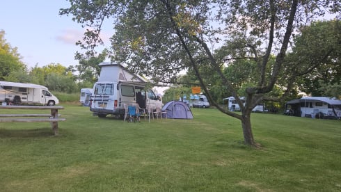 Nugget (chicken) – Festival camper, 4 persoons nugget!