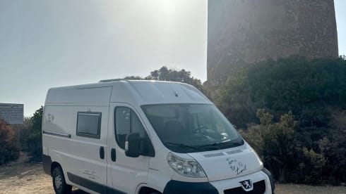 Gas Gas – Pegeout Boxer