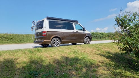 Rinus – 4p Volkswagen t5 150 hp automatic bus camper
