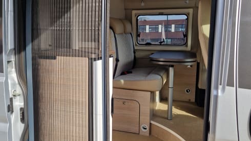 2p Bürstner bus from 2020