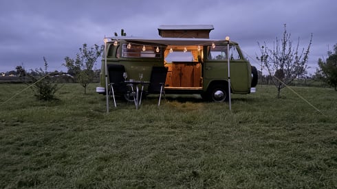 The Hulk – Westfalia – Beautiful Classic Camper For Rent! 