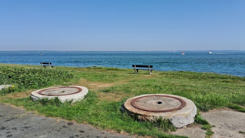 Reg  – Cosy Toyota Alphard | Fully-equipped, Adventure Ready | Isle of Wight