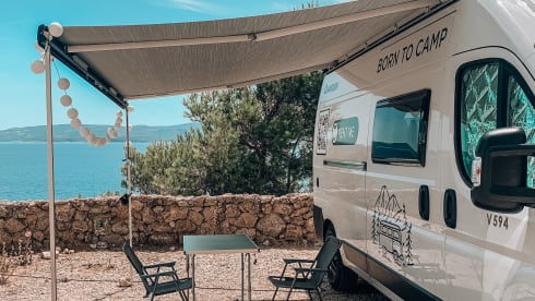 Euro Camper - Comfort like home