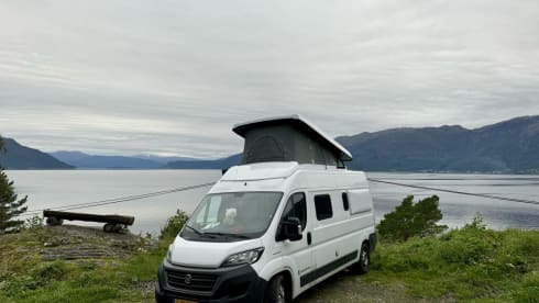 Bennie – Bennie: Fiat Campervan (Automatic) - Pet Friendly - 4 Persons