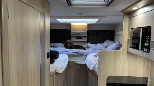 4 berth Peugeot semi-integrated from 2019