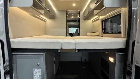 2p Other bus from 2023
