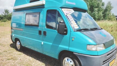 4p Fiat campervan from 1996