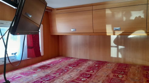 Go free for an alternative vacation