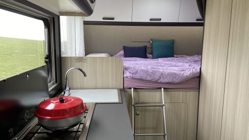 Neukölln – Zonleven (A60 SP)