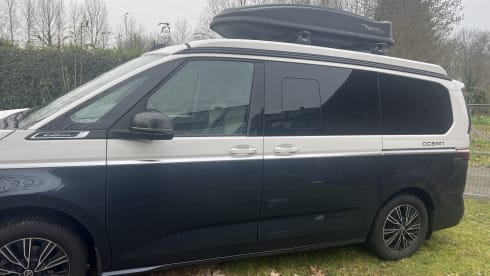 VW California Ocean T7 (2026) blauw-wit