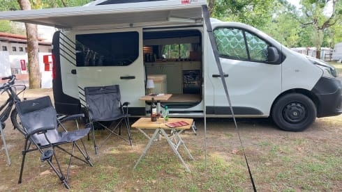 SchaafBus – Cozy campervan with sleeping pop-up roof 