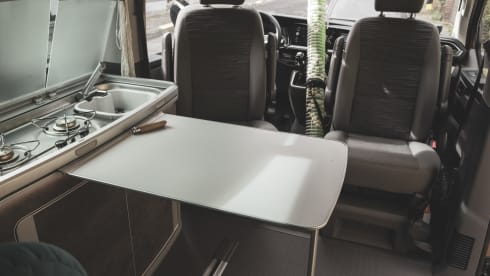 ROSIE – VolkswagenCalifornia 2022