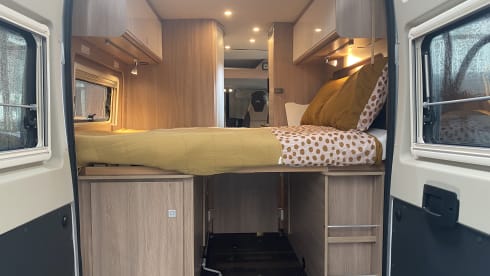 4p Laika bus from 2022