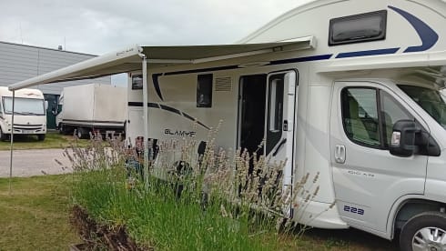 De Piwi – McLouis Glamys 223 from 2023