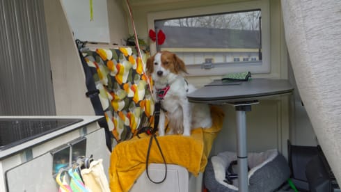 Frits – Frits: Comfortabele, complete camper voor 2 personen (en 1 hond)