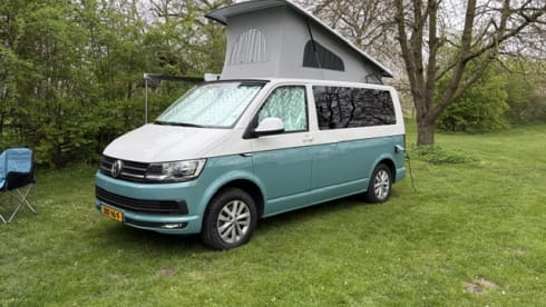4p Volkswagen campervan uit 2019