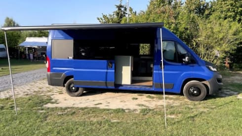 3p Peugeot bus from 2016