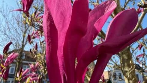 Ragnar – Citroen JUMPER, your comfortable travel camper with spacious transverse beds