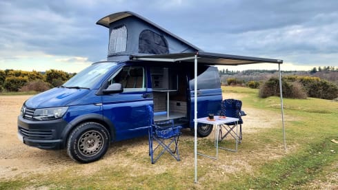 Bluey – 4 berth Volkswagen T6 Transporter 4Motion campervan (off-grid camper)