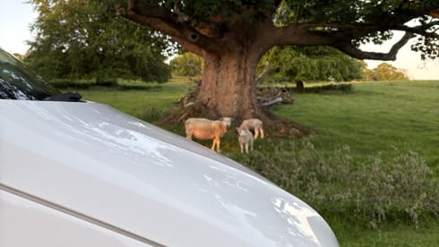 Caledonia  – VW custom campervan hire from Edinburgh Airport - Highlands Scotland 