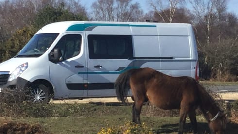 Caddyshack – Vauxhall Movana Umbau