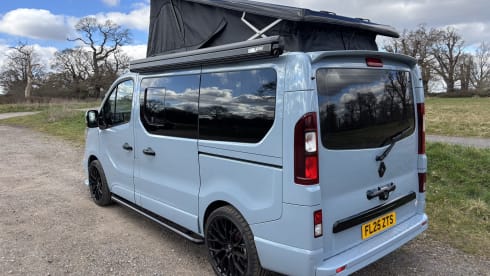 Raymundo – Raymundo the Renault! 🌻